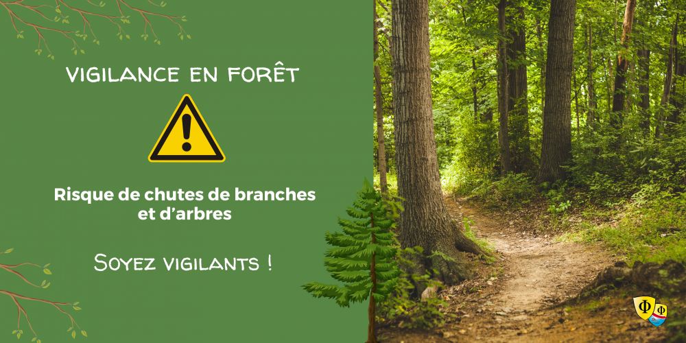 Vigilance en forêt