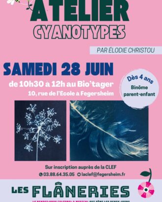 Affiche atelier cyanotype juin 2025