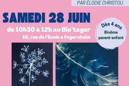 Affiche atelier cyanotype juin 2025