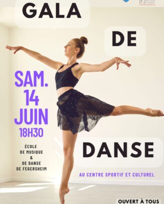 Affiche du Gala de danse de l'EMMD juin 2025
