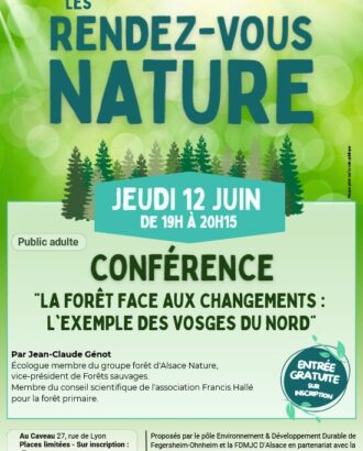 Affiche conférence sur les arbres du mois de juin 2025