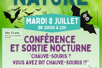 Affiche conférence sortie nocturne sur les chauve-souris