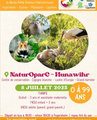 Affiche Sortie de fin d'année 2025 du RPE
