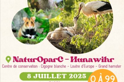 Affiche Sortie de fin d'année 2025 du RPE