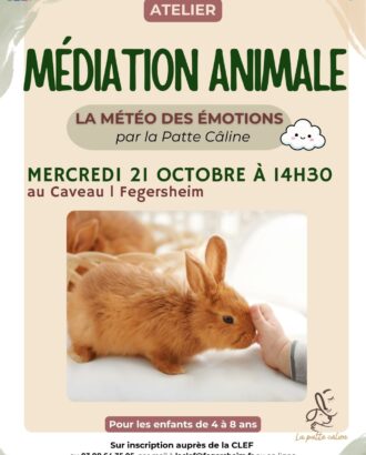 Affiche Atelier de médiation animale à Fegersheim